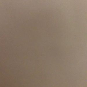 Meet your Posher, Loyda